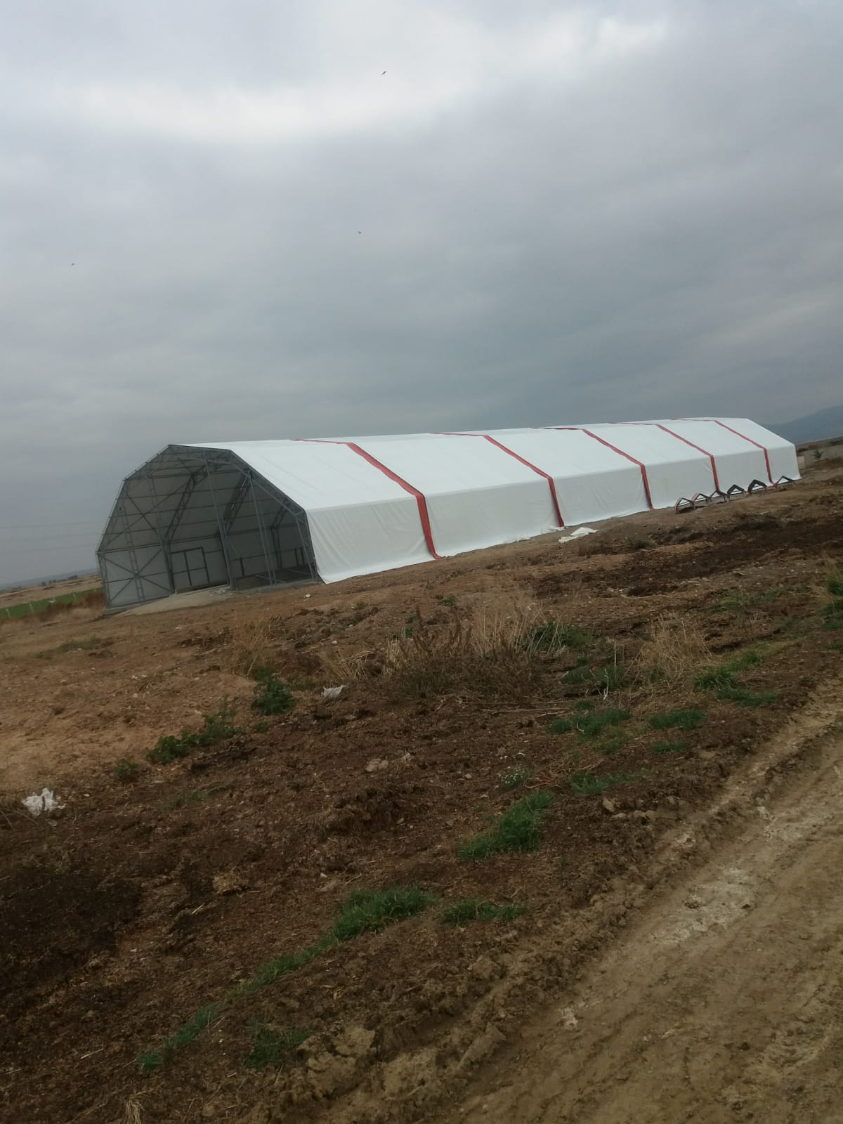 Yalıtımlı Büyükbaş Çadırı
